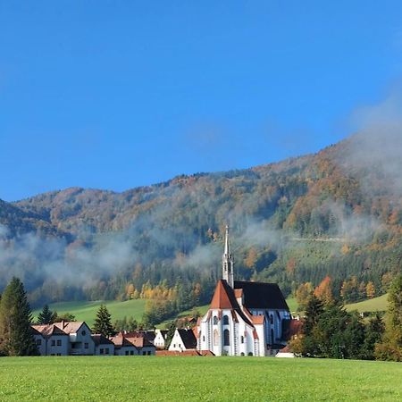 Ferienwohnung Bergspass Gaming エクステリア 写真