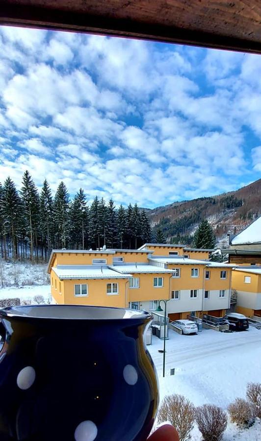 Ferienwohnung Bergspass Gaming エクステリア 写真