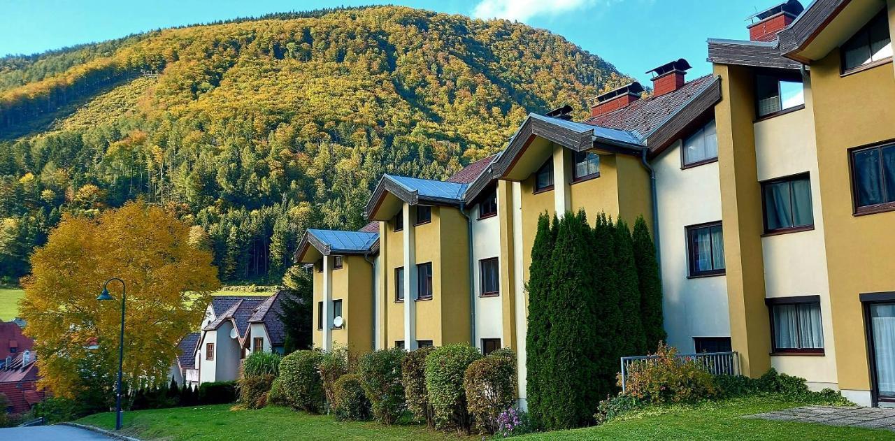 Ferienwohnung Bergspass Gaming エクステリア 写真