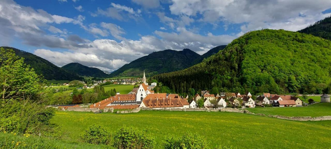 Ferienwohnung Bergspass Gaming エクステリア 写真
