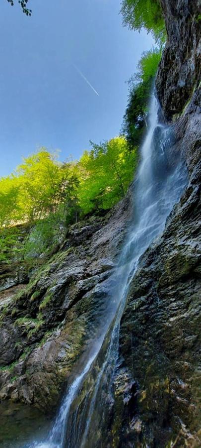 Ferienwohnung Bergspass Gaming エクステリア 写真