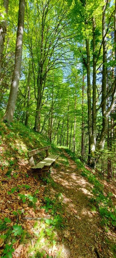 Ferienwohnung Bergspass Gaming エクステリア 写真