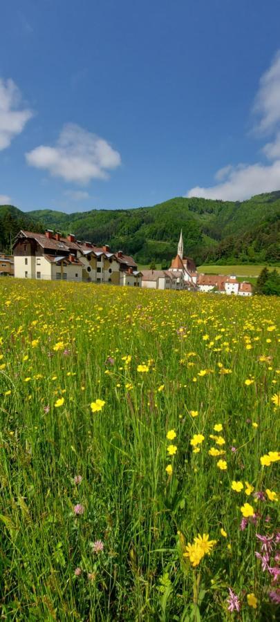 Ferienwohnung Bergspass Gaming エクステリア 写真